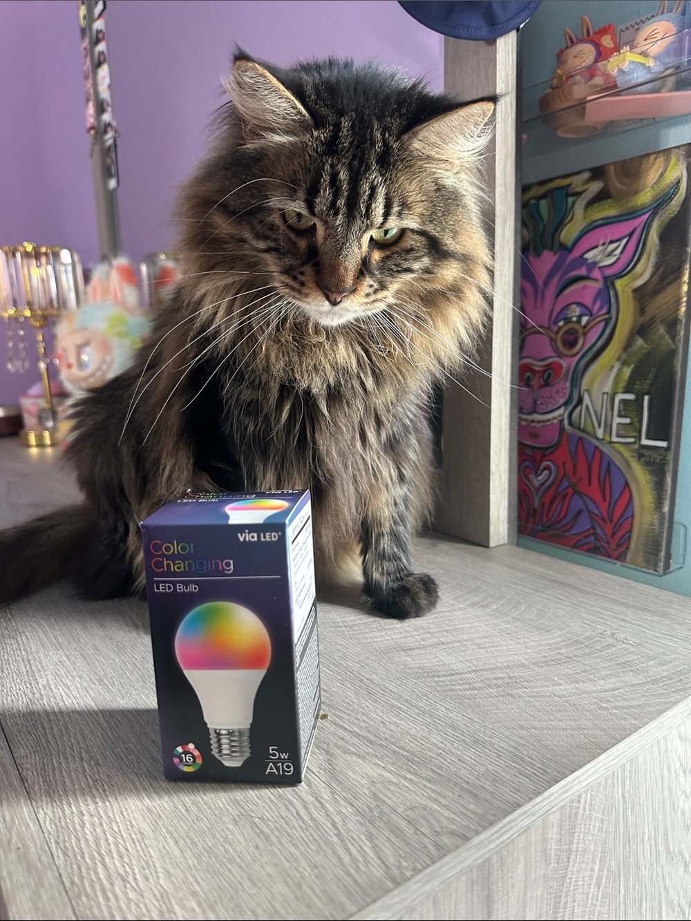 Color Changing A19 LED Bulb - Multicolor - Picture 3 of 3